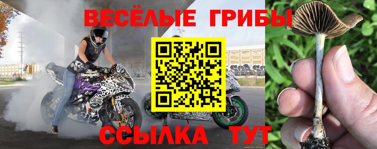 Галлюциногенные грибы ЛСД Иркутск