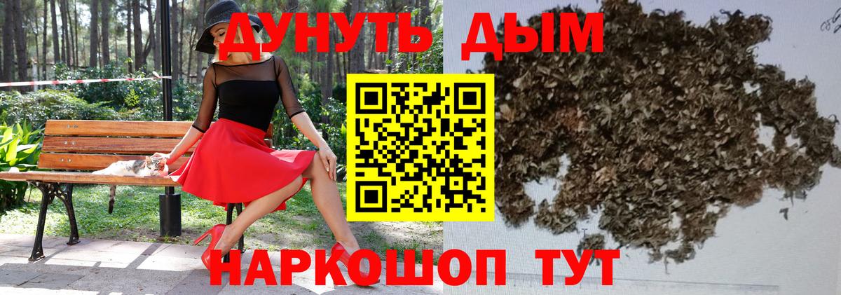 Каннабис OG Kush Иркутск